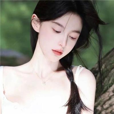 从前有个傻子特工